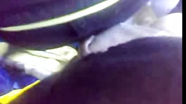 - مسیحی یونانی ها شیرجه ، خروس بزرگ و غنیمت بزرگ ایدی کانال فیلم سوپر چو را برای ما به ارمغان می آورد